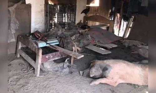 Pecuarista é multado em 310 mil reais por manter casal em barracão