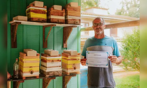 Projeto de produção de mel em cidade do Paraná completa um ano