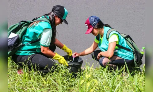 Apucarana confirma morte por dengue nesta quinta-feira