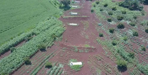 Obras do Contorno de Arapongas pararam na fase inicial