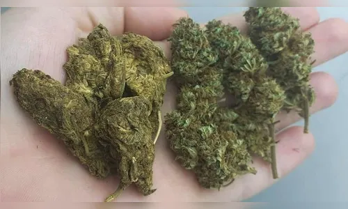 Menores são apreendidos por venda de drogas em Jandaia do Sul