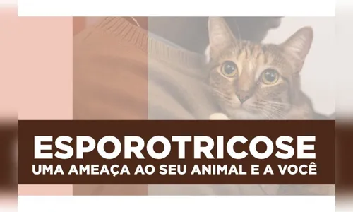 Paraná é o primeiro estado a oferecer medicamento para tratar animais