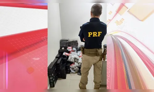 PRF apreende mais de 300 kg de maconha na BR-369