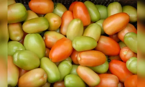 Cesta básica: dados mostram variação de preços de até 100% em produtos