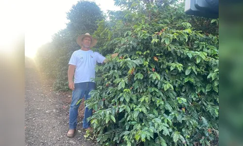 'Estou três noites sem dormir', diz agricultor de Apucarana após furto