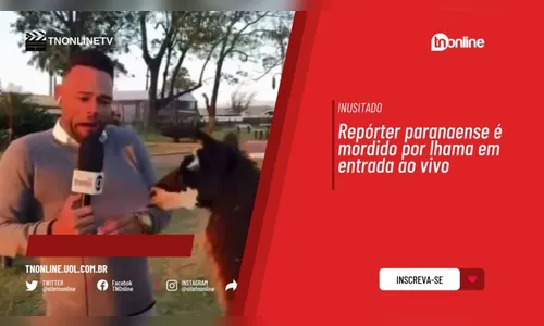 Repórter de Paraná é mordido por lhama em entrada ao vivo