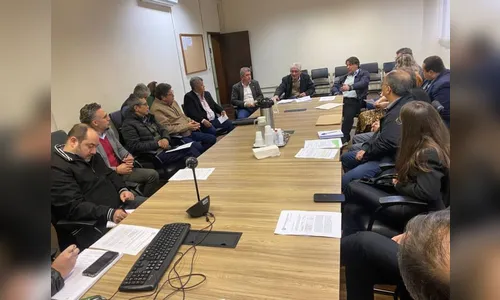 Paraná vai reforçar campanha de prevenção à gripe aviária