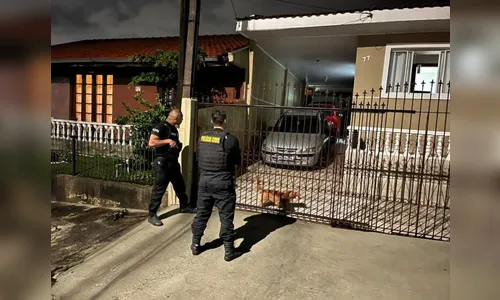 São localizados suspeitos de cortar árvores sem permissão no Paraná