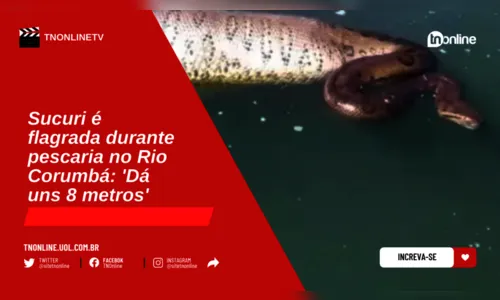 Sucuri é flagrada durante pescaria no Rio Corumbá: 'Dá uns 8 metros'