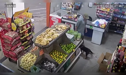 'Meliante' de 4 patas furta celular de mercado em ação rápida; veja