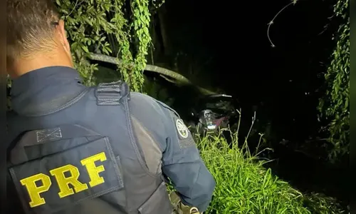 Motorista de picape morre após colidir com árvore na BR-277 no Paraná
