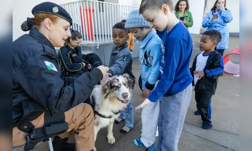'Projeto Cão Amigo' reforça terapia fonoaudiológica na saúde municipal