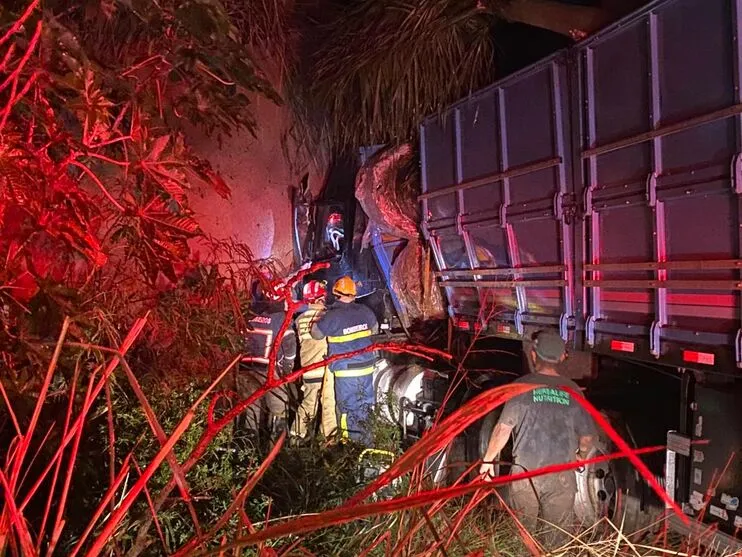 Bombeiros retiraram vítima do caminhão