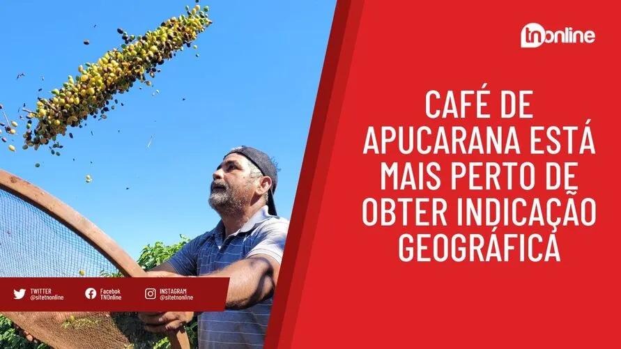 Café de Apucarana está mais perto de obter indicação geográfica