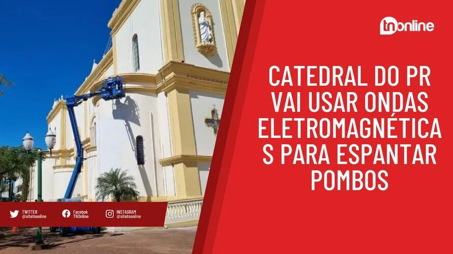 Catedral do PR vai usar ondas eletromagnéticas para espantar pombos