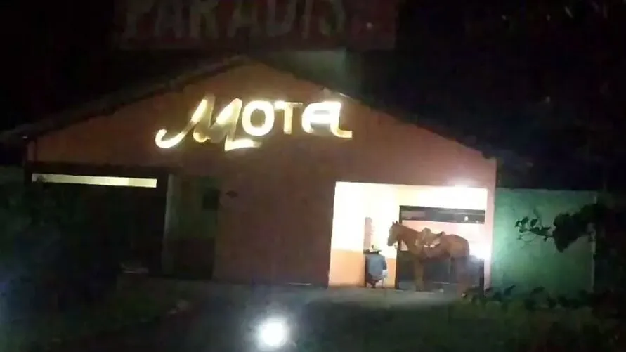 Homem foi filmado na recepção de motel junto com seu cavalo