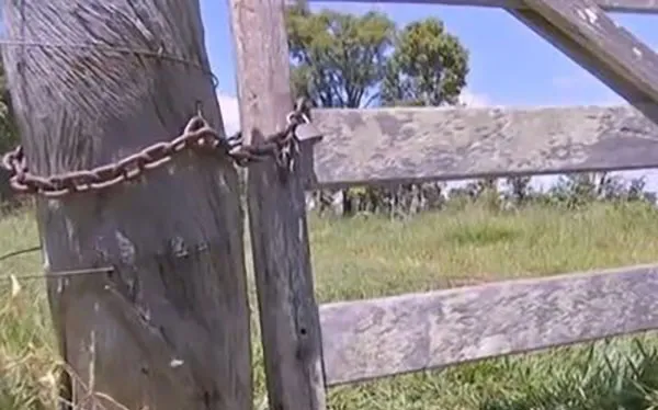 O furto ocorreu  em um sitio no Bairro Ponte Preta