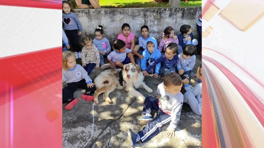 Programa é realizado em escolas e Apaes