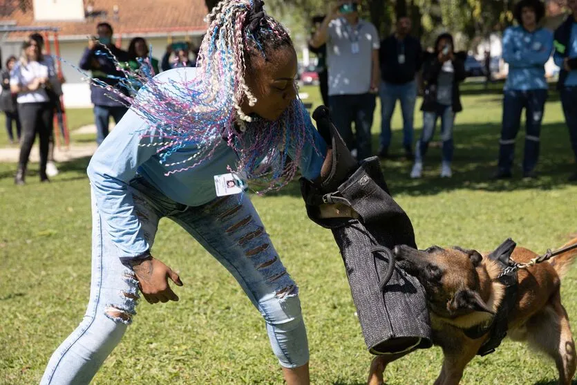 Treinamentos são realizados para prevenção à mordedura de cães