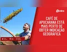 Café de Apucarana está mais perto de obter indicação geográfica