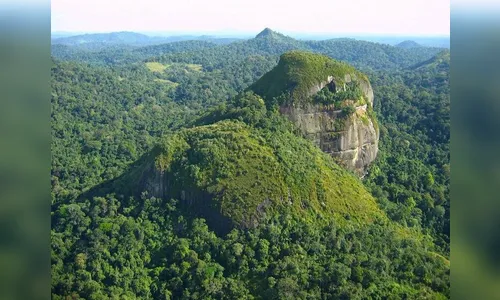 Helicóptero com três pessoas desaparece na Floresta Amazônica
