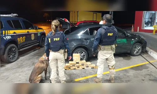 PRF encontra carga milionária de cocaína em fundo falso de veículo