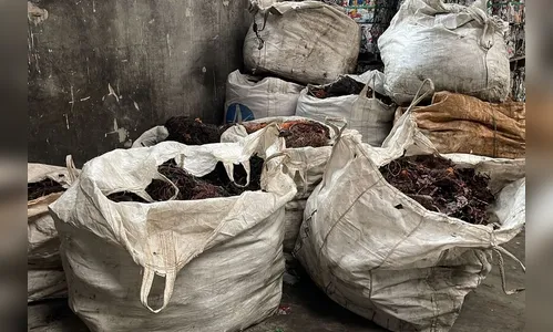 PC apreende dez toneladas de fio de cobre no PR; homem foi preso