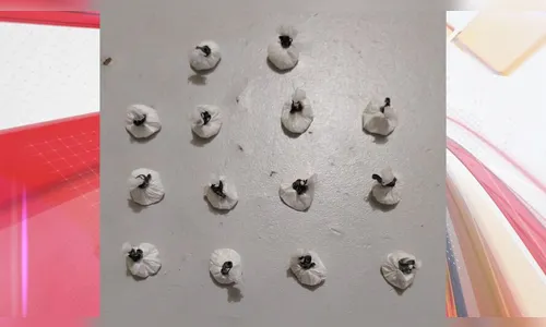 PM de Arapongas apreende 14 porções de cocaína após abordagem