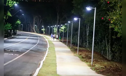 Mulher bate carro contra árvores no Parque Jaboti; Samu foi acionado