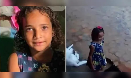 Caso Ana Sophia: desaparecimento de criança completa 44 dias