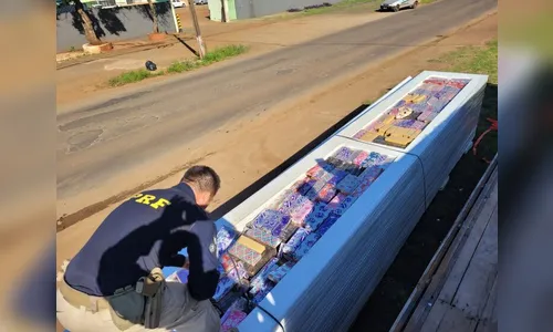 Motorista é preso e 4,5 toneladas de maconha são apreendidas na BR-369