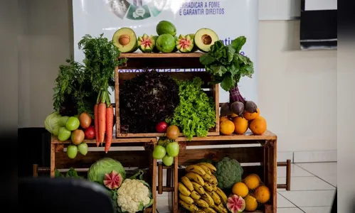 Apucarana realiza conferência de segurança alimentar e nutricional