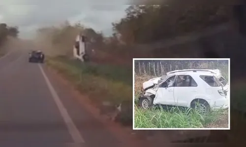 Motorista se assusta com abelha e capota carro diversas vezes; vídeo
