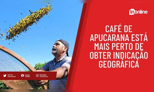 Café de Apucarana está mais perto de obter indicação geográfica
