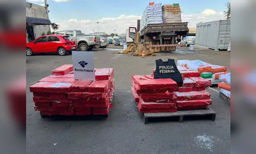 Agentes apreendem quase 1 tonelada de maconha na BR-369 em Arapongas