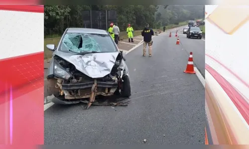 BR-376: pedestre morre após ser atropelado por carro neste domingo
