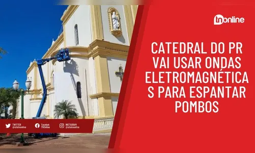 Catedral do PR vai usar ondas eletromagnéticas para espantar pombos