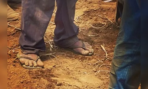 Vítimas de trabalho análogo à escravidão são resgatadas no norte do PR