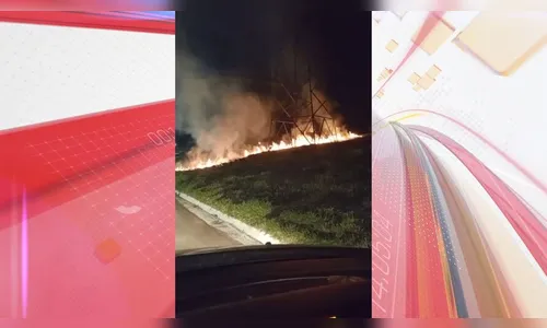 Incêndio ambiental na entrada do Afonso Camargo mobiliza bombeiros