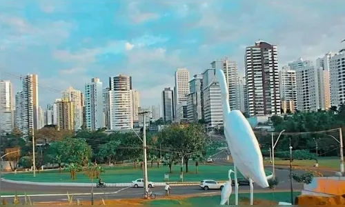 Escultura de garça de 2 metros é furtada de praça em Londrina