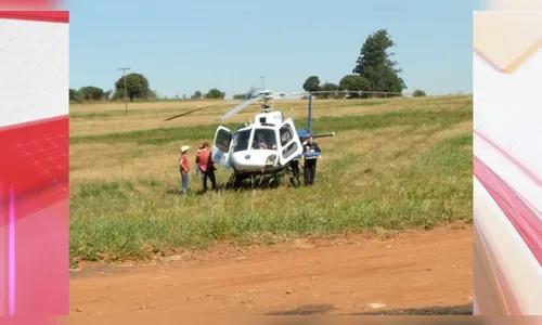 Acidente: motociclista morre após ser arremessado contra árvore