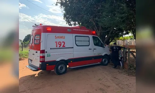 Idoso de 77 anos vai parar na UTI após ser atacado por abelhas no PR