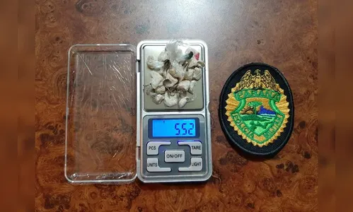 Ocorrências de uso de drogas aumentam 31,5% na região, diz relatório