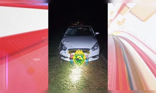Homem morre após ser atropelado na PR-218 em Sabáudia