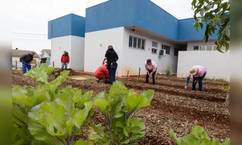 Apucarana estrutura nova horta voltada à saúde mental