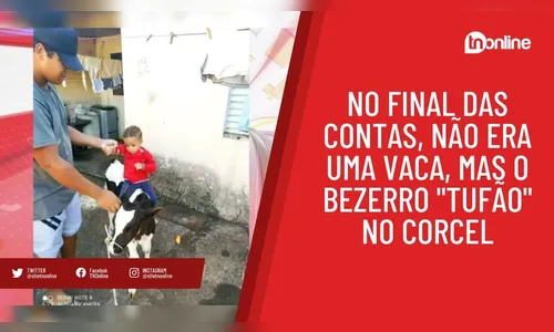 No final das contas, não era uma vaca, mas o bezerro 