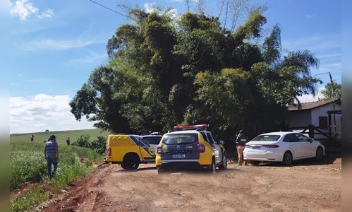 Queda de árvore provoca morte de homem na região; veja detalhes