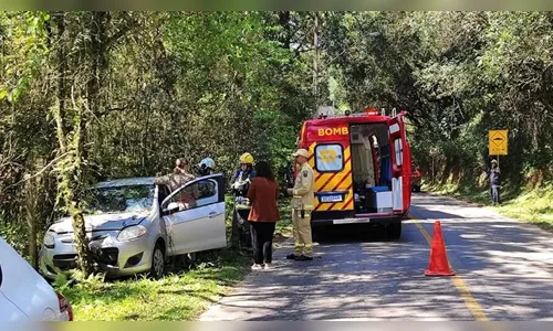Motorista colide contra árvore e morre depois de sofrer mal súbito