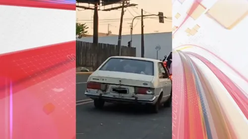 O animal foi avistado dentro de um Ford Corcel na Avenida Governador Roberto da Silveira