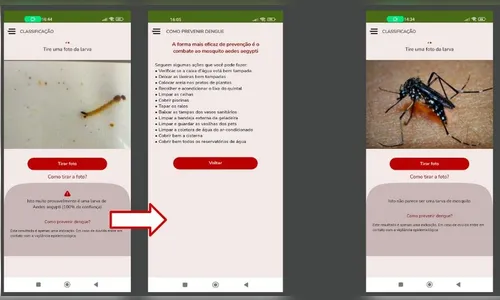 Aluno de 22 anos cria app que identifica larva do mosquito da dengue